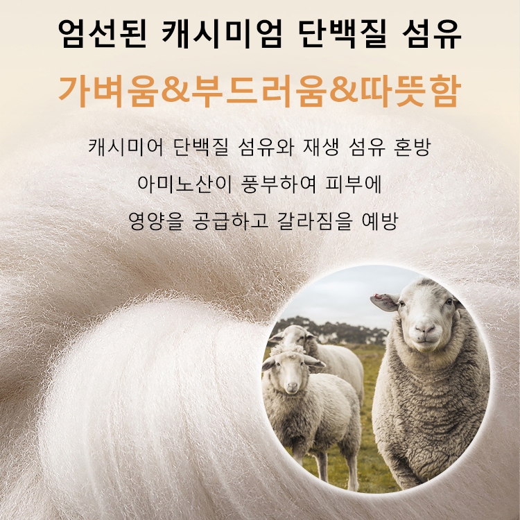 드랄론 보온 레깅스