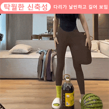 드랄론 보온 레깅스