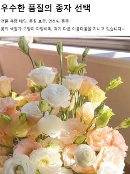 꽃과 다채로운 장미 씨앗을 뿌리다