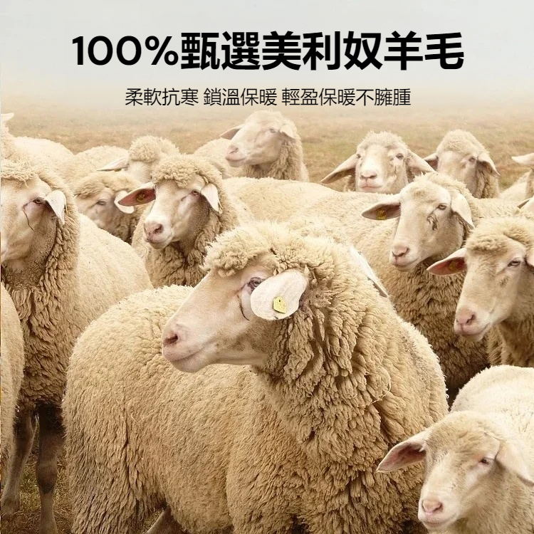 一體絨翻領假兩件上衣