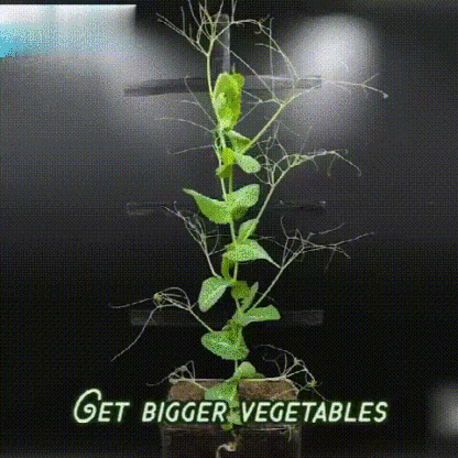 懶人養花神器花開爆滿盆植物通用緩釋肥