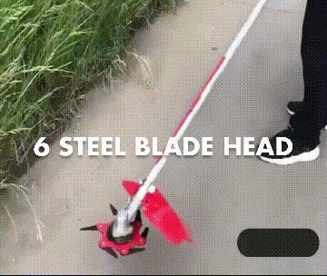 11.gif