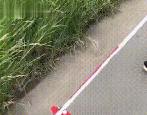 30.gif