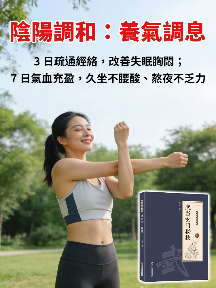 千禧年武當玄門秘技傳統武術魅力
