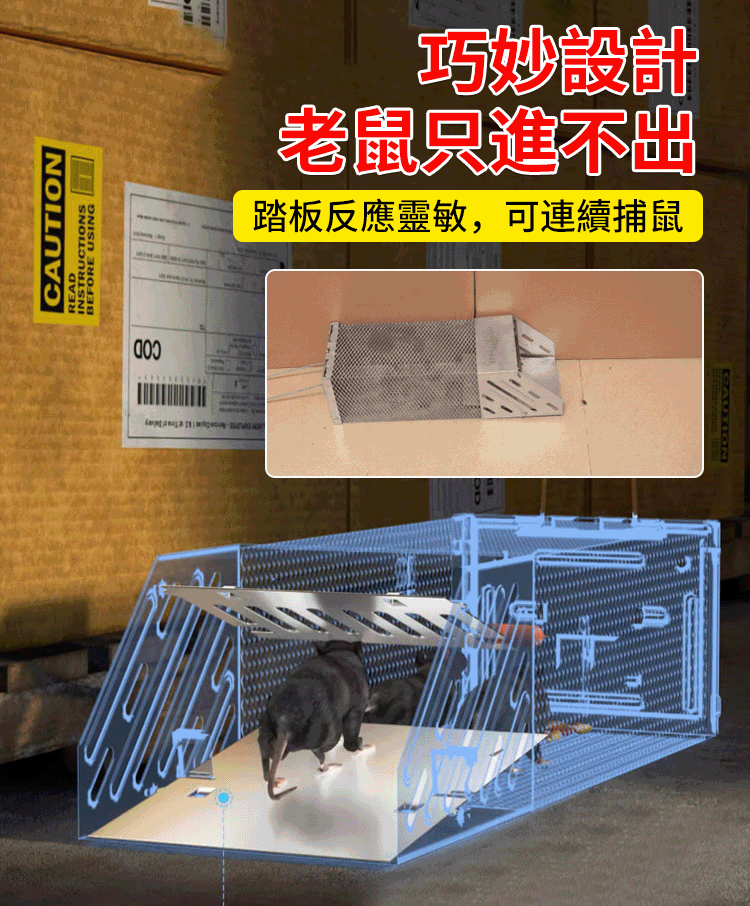 HFH-【一晚一窝】鼠洞式捕鼠笼