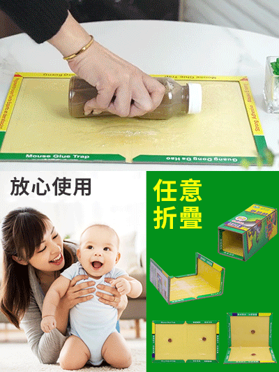 家用強力膠黏鼠板