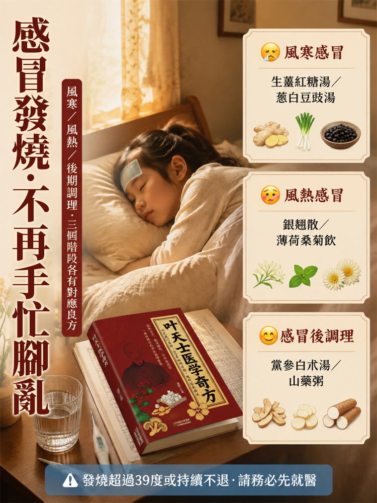 傳世經典家庭常備中醫書籍