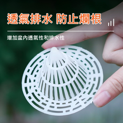 【防爛根】花盆底錐形透氣墊片