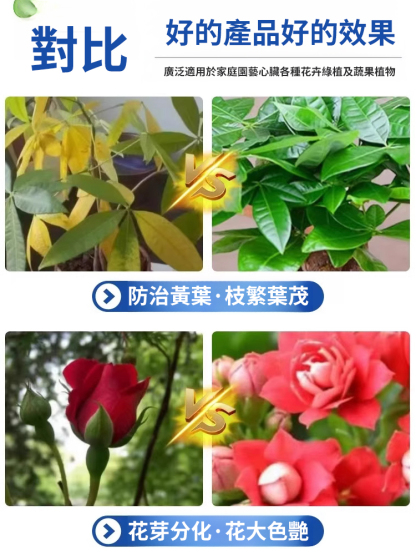 【植物通用神仙水】油藤植​​物再生通用營養液