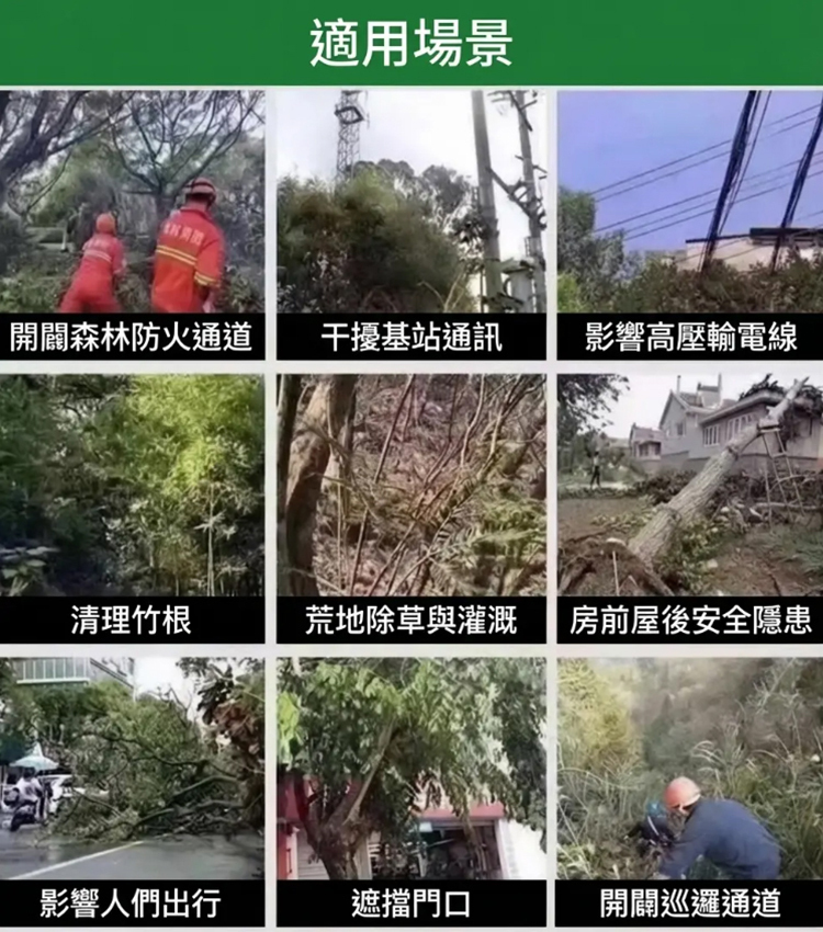 一針倒環嗪酮開荒劑