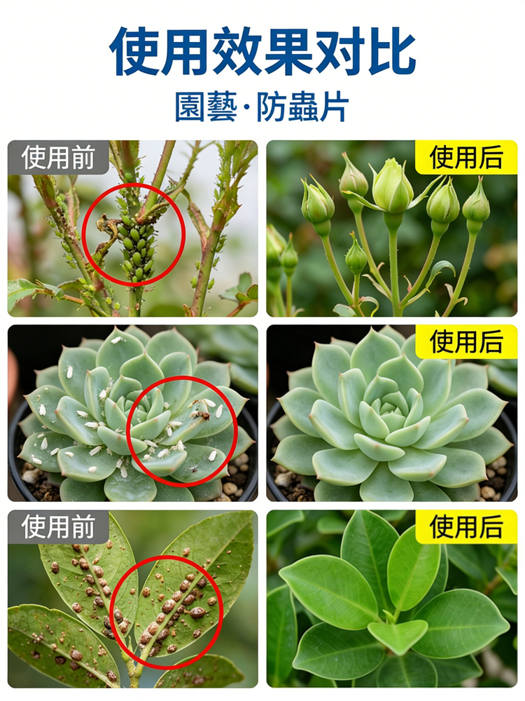 【肥效/防護二合一】懶人植保神器硼肥片