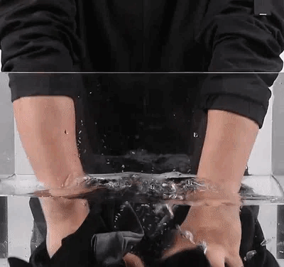 20241009_104448_266.gif