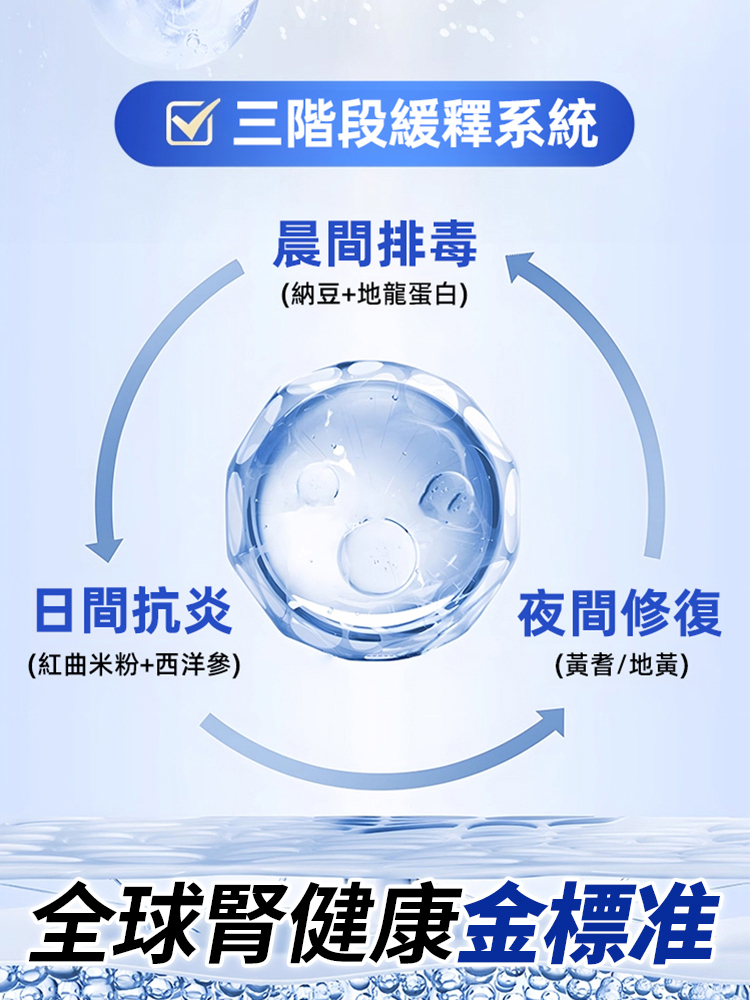 天然提取地龍蛋白人參片