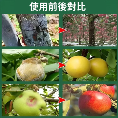 【生根壯苗促開花】花果控釋肥