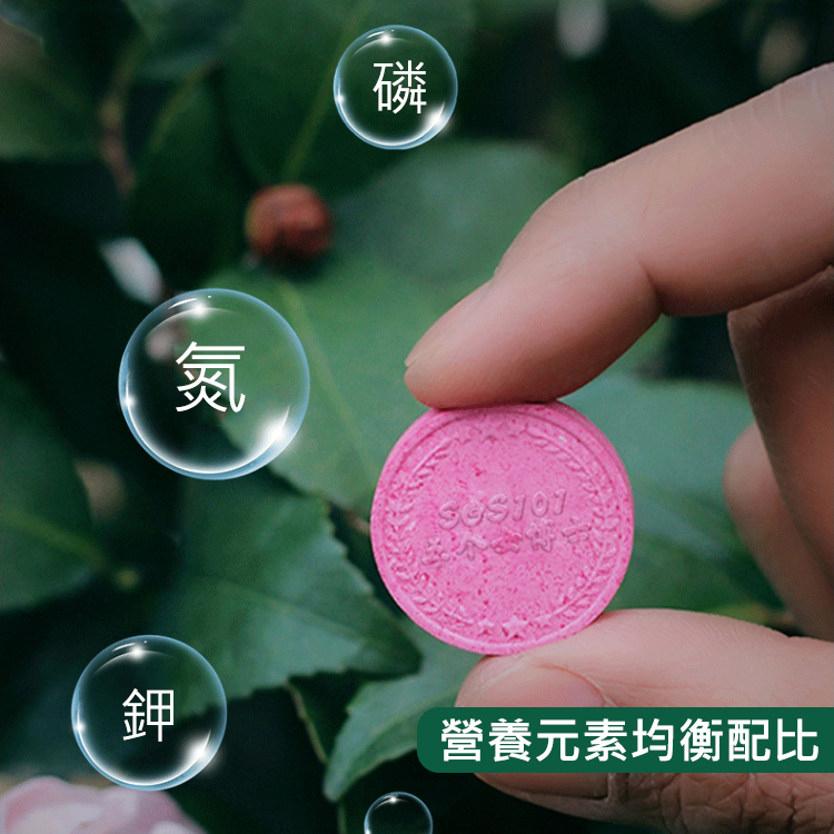 懶人養花神器花開爆滿盆植物通用緩釋肥