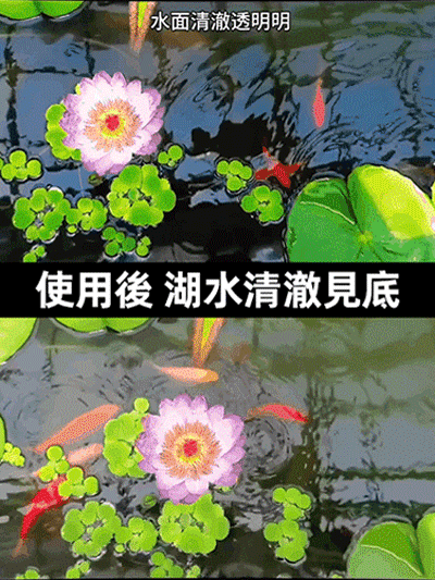 【秒變專業攝影機】手機cpl偏振鏡濾鏡
