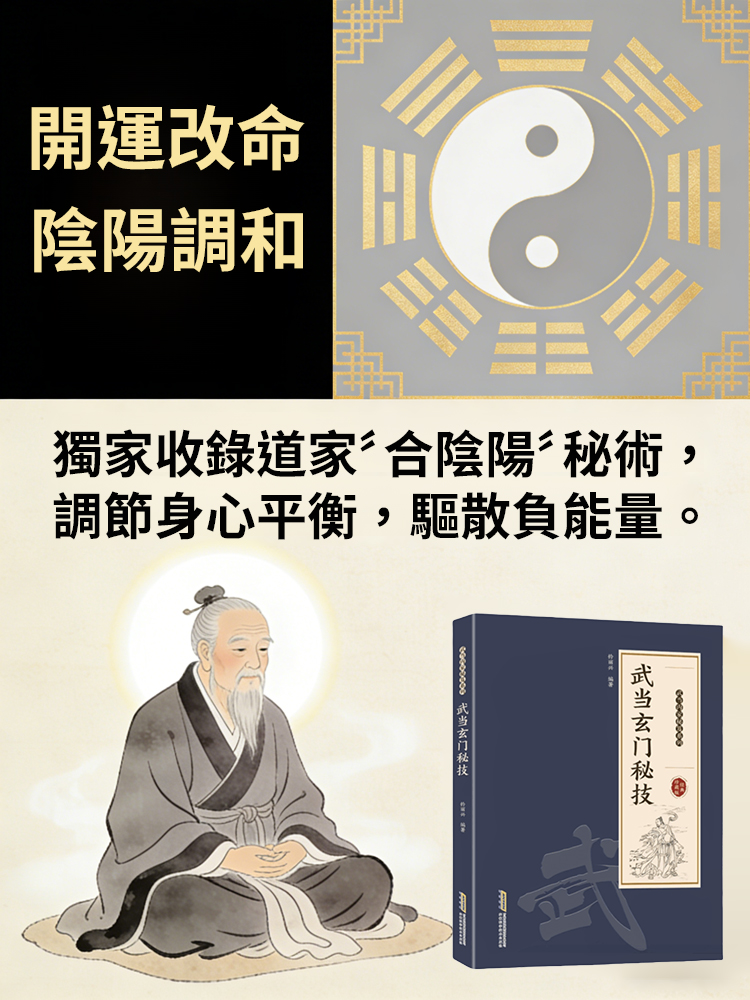 千禧年武當玄門秘技傳統武術魅力