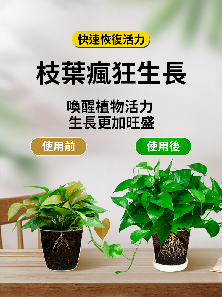 【植物通用神仙水】油藤植​​物再生通用營養液