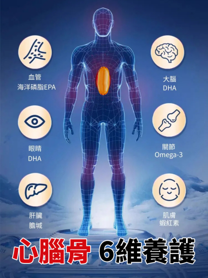 【疏通血管】銀杏葉紫蘇軟膠囊