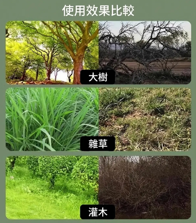 一針倒環嗪酮開荒劑