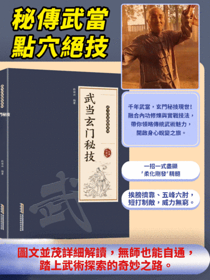 千禧年武當玄門秘技傳統武術魅力