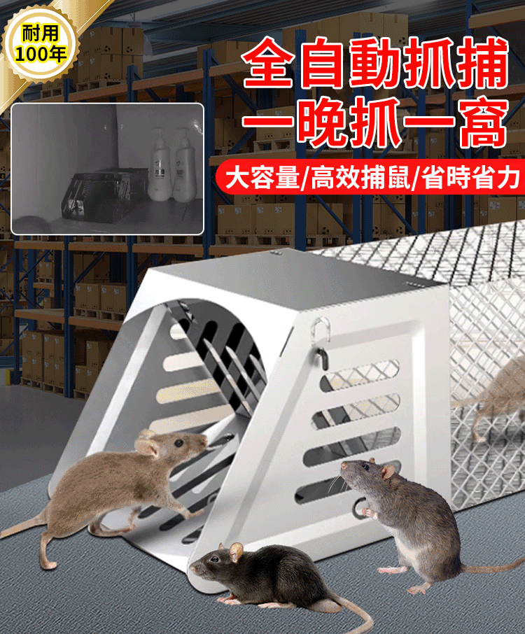HFH-【一晚一窝】鼠洞式捕鼠笼