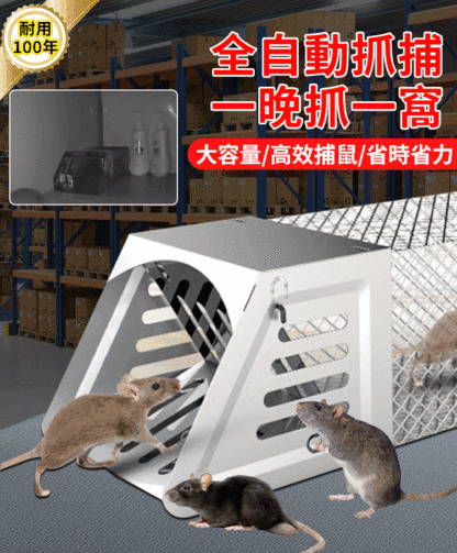 HFH-【一晚一窝】鼠洞式捕鼠笼