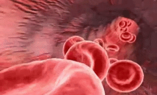 d99eff87eb01519780928ee7d27e1212.gif