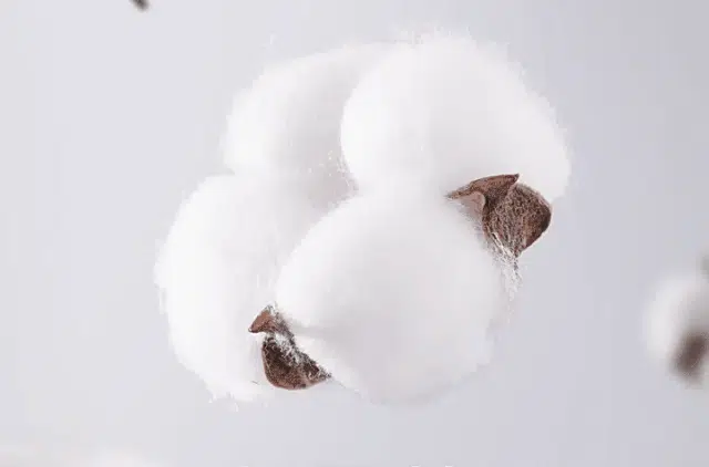 0fcfc705c7294356cab2a692f6e47aad.webp