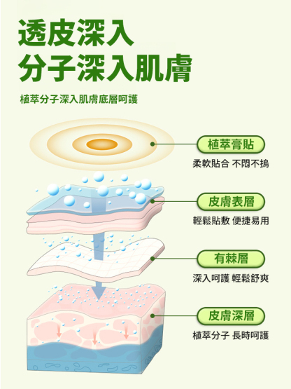 靈芝荷葉茯苓薏濕穴貼