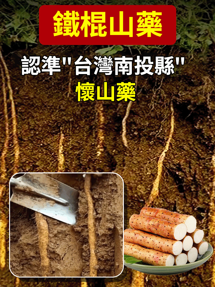純手工鐵棍山藥牛筋麵
