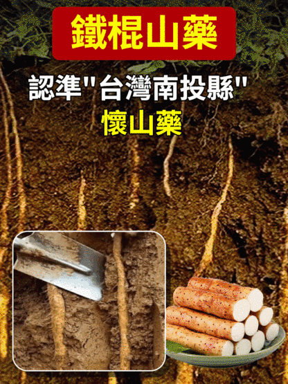 純手工鐵棍山藥牛筋麵