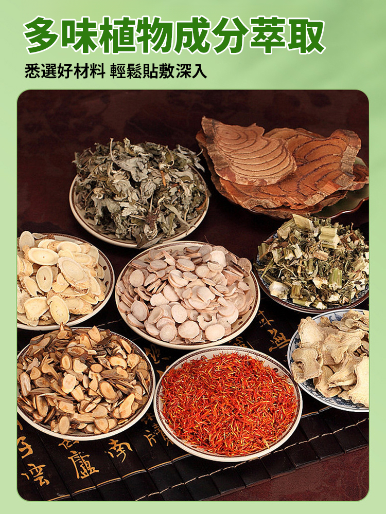靈芝荷葉茯苓薏濕穴貼