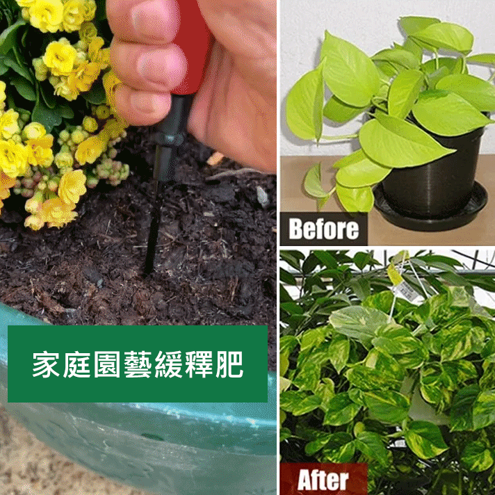 懶人養花神器花開爆滿盆植物通用緩釋肥