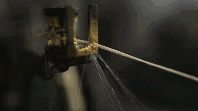 20241009_104448_252.gif