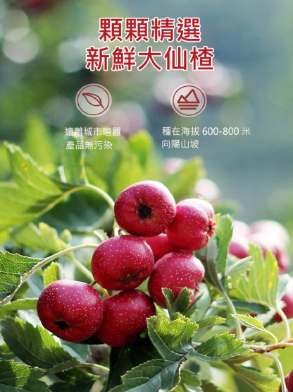 空心無核仙楂乾