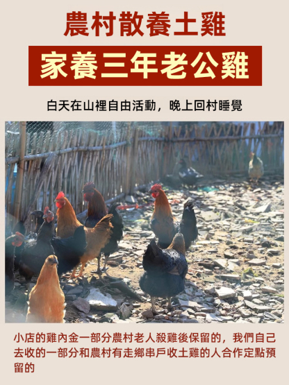 【結石不再有】淳滋堂雞內金粉