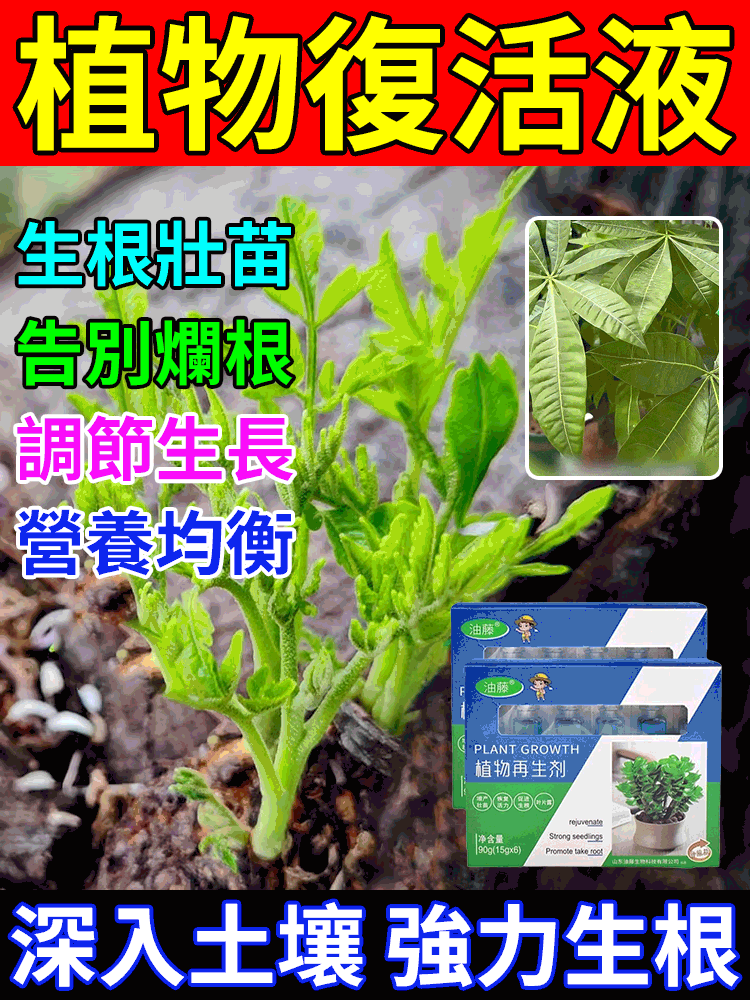 【植物通用神仙水】油藤植​​物再生通用營養液