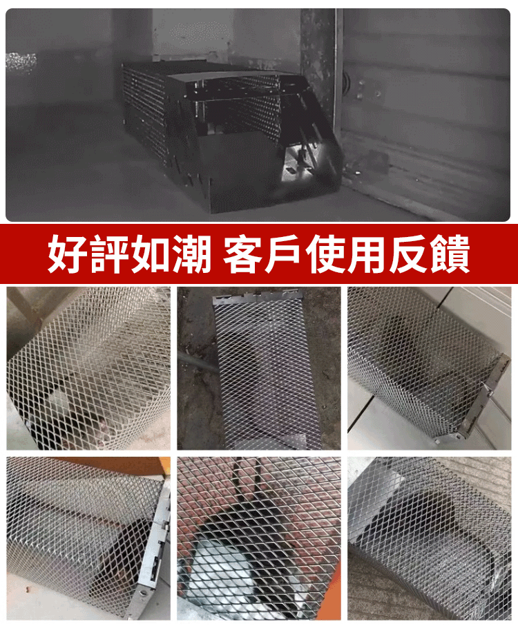 HFH-【一晚一窝】鼠洞式捕鼠笼