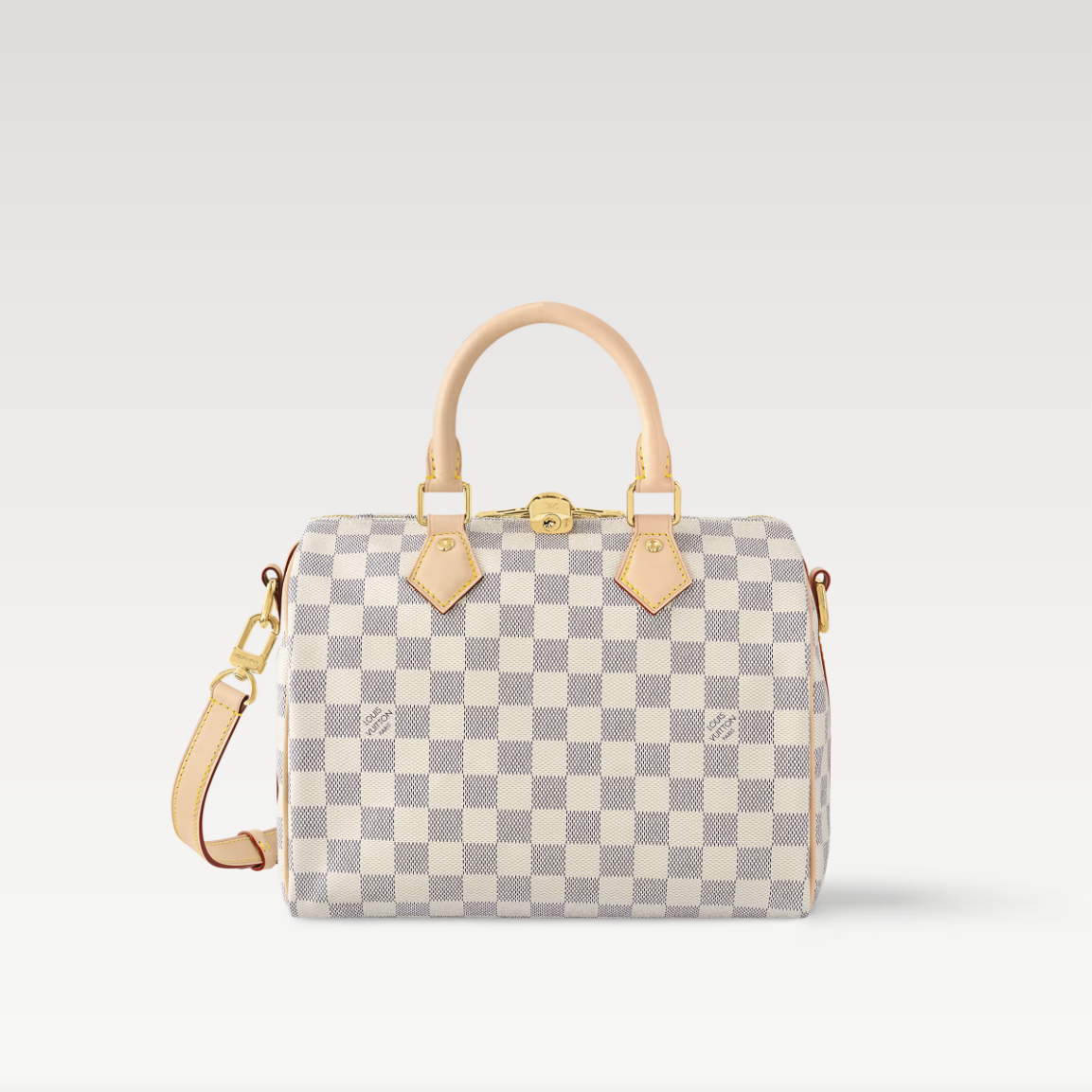  LOUIS VUITTON スピーディ・バンドリエール 25 Ref:N41374