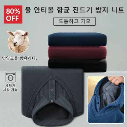 셔츠카라 니트