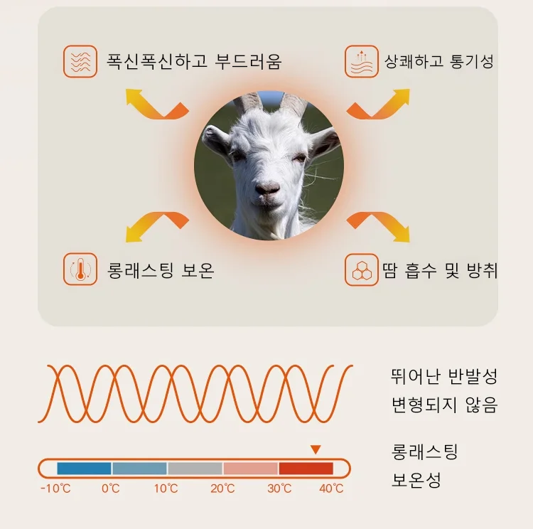 61.webp