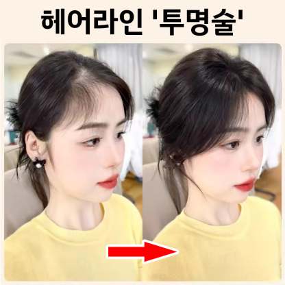 3d 피니쉬 앞머리 가발