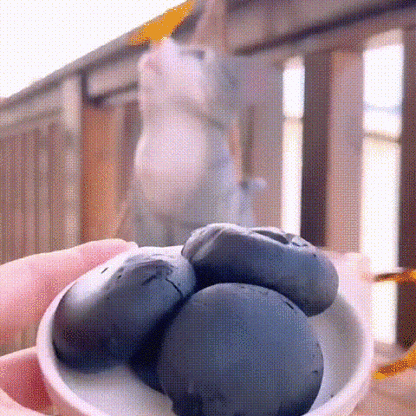 무설탕 블랙 오디 떡