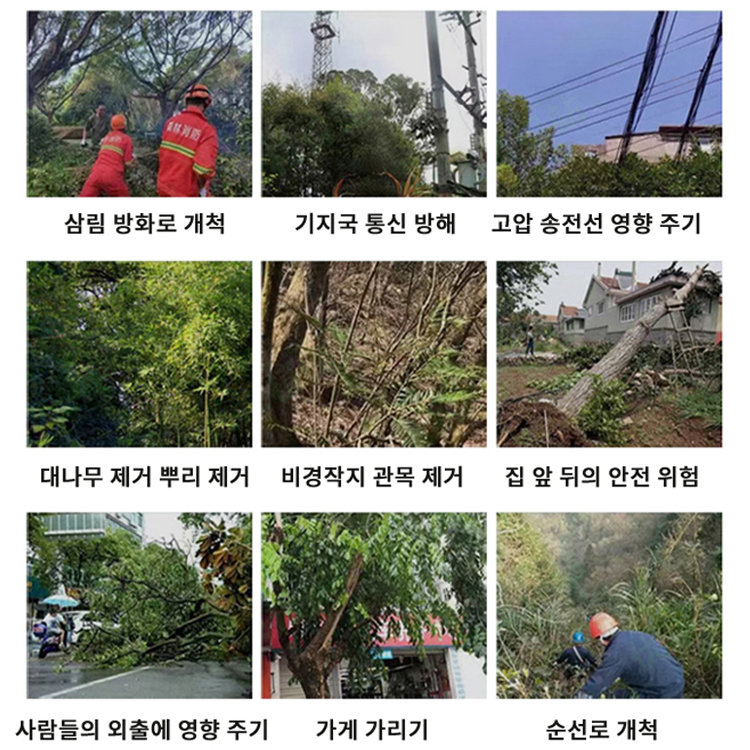 큰 나무 대나무 제초제