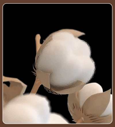 20240301_102226_016.gif