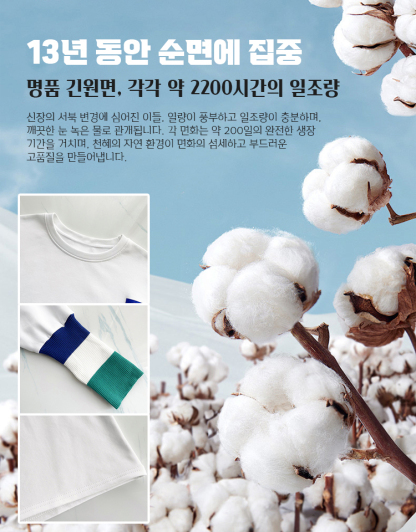 패션 스타일 미드기장 신축성 소매 니트티