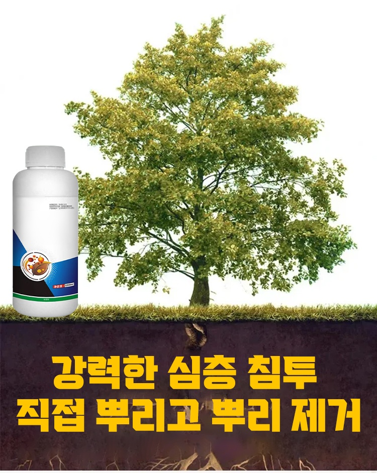 未标题-1_12.jpg