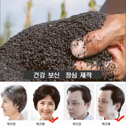 호두 오디 흑임자환 
