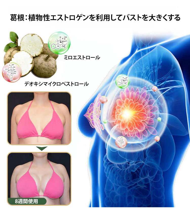 日币_26.jpg